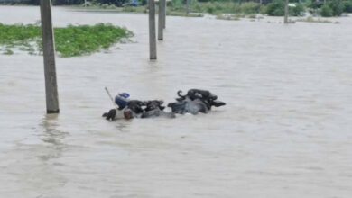 गंगा में बढ़ा जलस्तर, गनियारी टोला में बाढ़ का खतरा, गांव छोड़ने को मजबूर ग्रामीण
