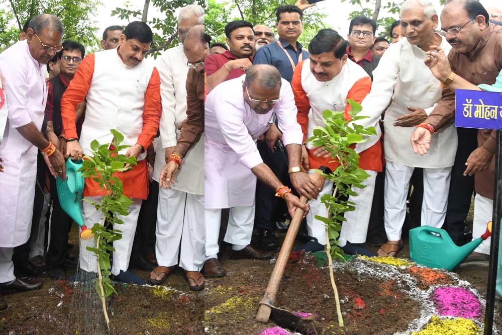 मानव संग्रहालय में 4000 पौधों का संकल्प: CM बोले- जहां चूके, वहां फिर से हरियाली उगाएंगे मानव संग्रहालय में 4000 पौधों का संकल्प: CM बोले- जहां चूके, वहां फिर से हरियाली उगाएंगे