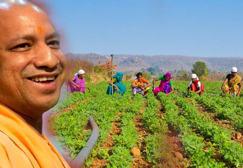 योगी सरकार का बड़ा फैसलाअब कृषि श्रमिकों को हर महीने मिलेंगे 6552 रुपये… योगी सरकार का बड़ा फैसलाअब कृषि श्रमिकों को हर महीने मिलेंगे 6552 रुपये…