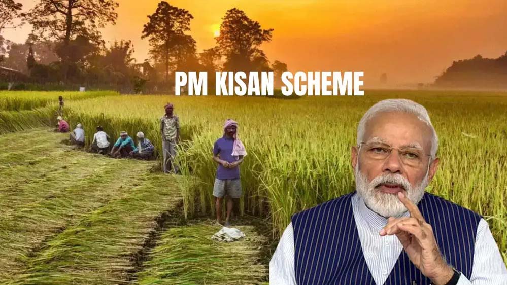 PM-Kisan योजना की 20वीं किस्त 2 अगस्त को, किसानों के खातों में आएंगे ₹2000 PM-Kisan योजना की 20वीं किस्त 2 अगस्त को, किसानों के खातों में आएंगे ₹2000
