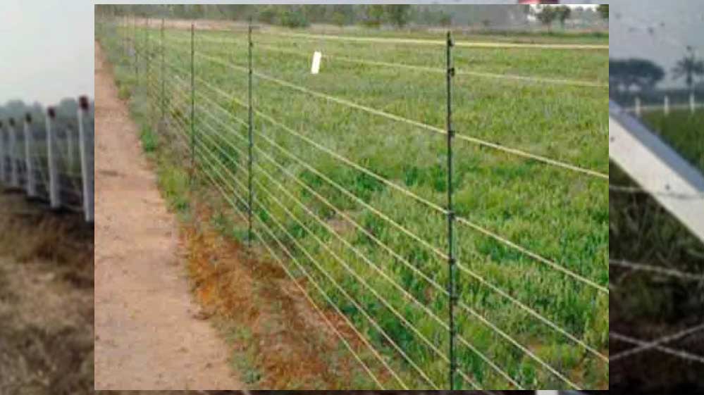 जानवरों से फसल की सुरक्षा के लिये खेत पर जाली लगाने का आधा खर्च सरकार वहन करेगी