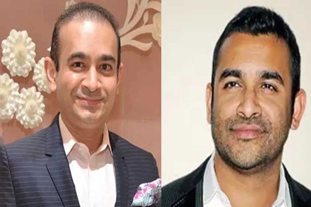 भगोड़े नीरव मोदी का भाई नेहल मोदी USA में गिरफ्तार, भारत को मिली बड़ी सफलता भगोड़े नीरव मोदी का भाई नेहल मोदी USA में गिरफ्तार, भारत को मिली बड़ी सफलता
