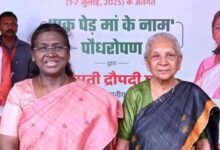 उत्तर प्रदेश में हर्बल क्रांति की पहल, आनंदी बेन पटेल ने किसानों से जुड़ने का किया आह्वान