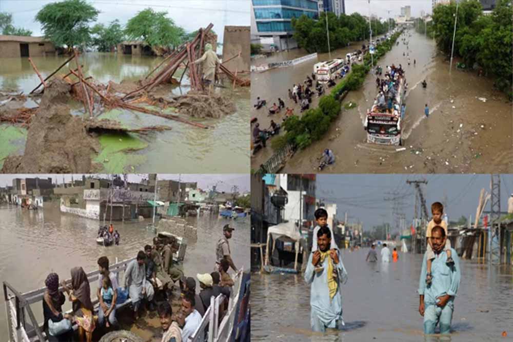 पाकिस्तान में बारिश का कहर: अब तक 221 लोगों की मौत, हालात बदतर पाकिस्तान में बारिश का कहर: अब तक 221 लोगों की मौत, हालात बदतर