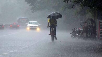भारतीय मौसम विभाग ने अगले सात दिनों में कर्नाटक में व्यापक पैमाने पर वर्षा का अनुमान