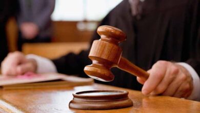 हाईकोर्ट का बड़ा फैसला: परिषदीय स्कूलों के विलय पर रोक, बच्चों को मिली राहत