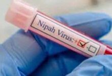 निपाह वायरस से निपटने को केरल तैयार, राजन खोबरागड़े ने बताया प्लान