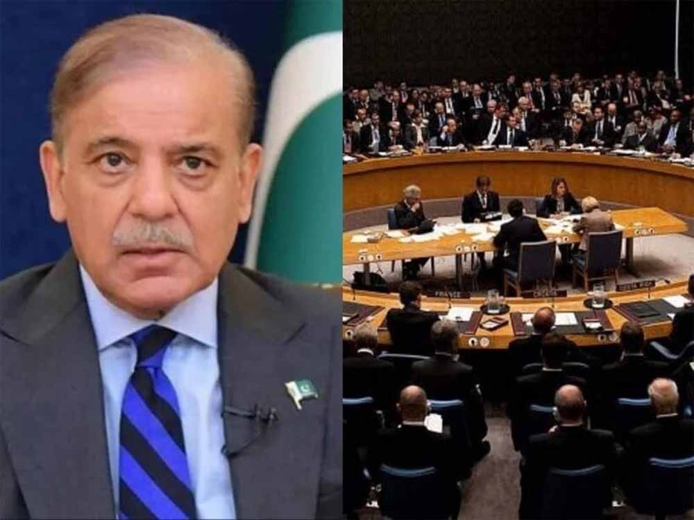 संयुक्त राष्ट्र सुरक्षा परिषद का अध्यक्ष बना पाकिस्तान! भारत के लिए बढ़ा कूटनीतिक खतरा? संयुक्त राष्ट्र सुरक्षा परिषद का अध्यक्ष बना पाकिस्तान! भारत के लिए बढ़ा कूटनीतिक खतरा?