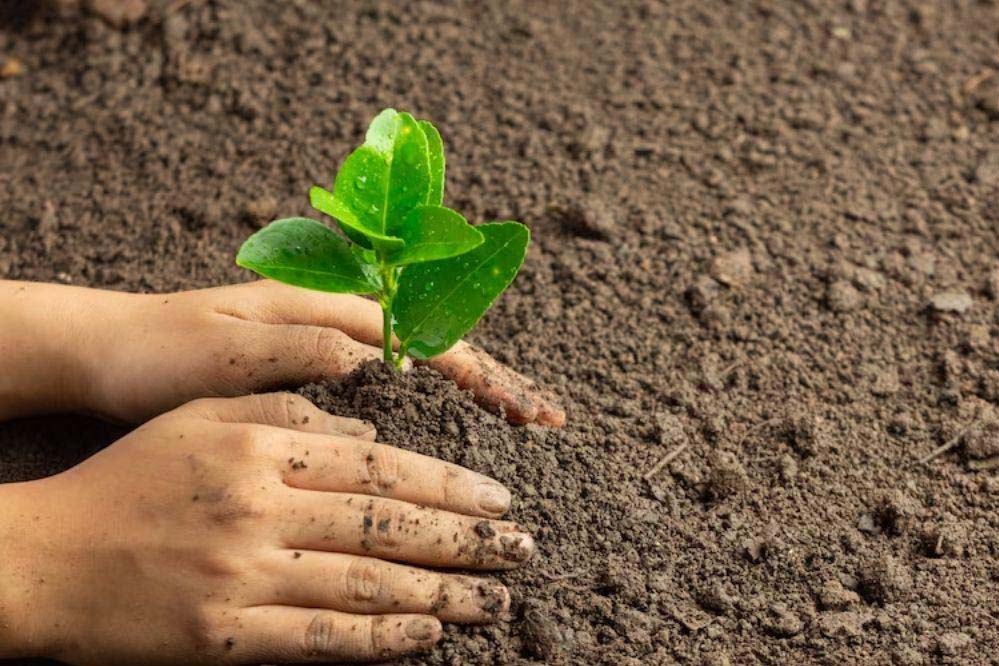 मोहन सरकार प्रकृति, पर्यावरण और जल संरक्षण के लिए 16 जिलों में मां नर्मदा परिक्रमा पथ के आश्रय स्‍थलों की भूमि पर पौधरोपण करेगी