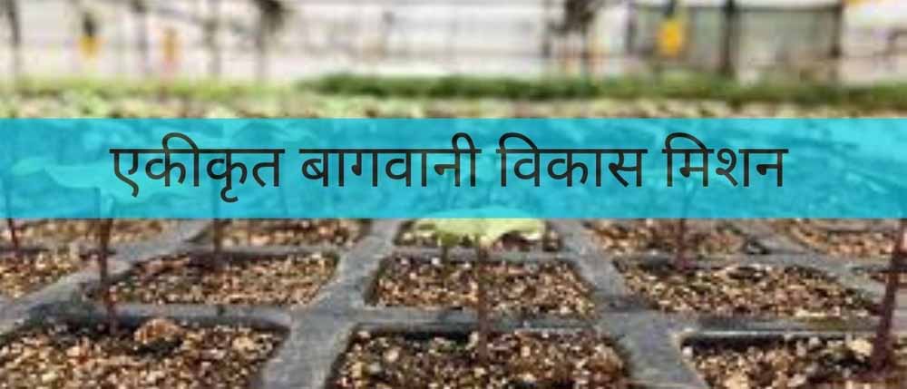 एकीकृत बागवानी विकास मिशन अंतर्गत मखाना अवयवों की योजना को स्वीकृति एकीकृत बागवानी विकास मिशन अंतर्गत मखाना अवयवों की योजना को स्वीकृति