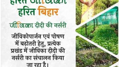 राज्य की हरियाली संवारने में अहम भूमिका निभा रही हैं जीविका दीदियां