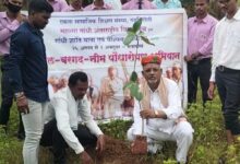महात्मा गांधी अंतरराष्ट्रीय विचार मंच द्वारा विश्व शांतिदूत प्रकाश आर अर्जुनवार का जन्मदिन के साथ अनेक राज्यों में पीपल बरगद नीम पौधारोपण अभियान शुभारंभ हुआ
