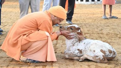 सीएम योगी के नेतृत्व में गो सेवा से तरक्की करेगा यूपी