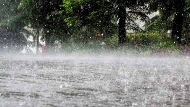 झारखंड में मौसम विभाग का येलो अलर्ट, 11 जिलों में भारी बारिश की चेतावनी