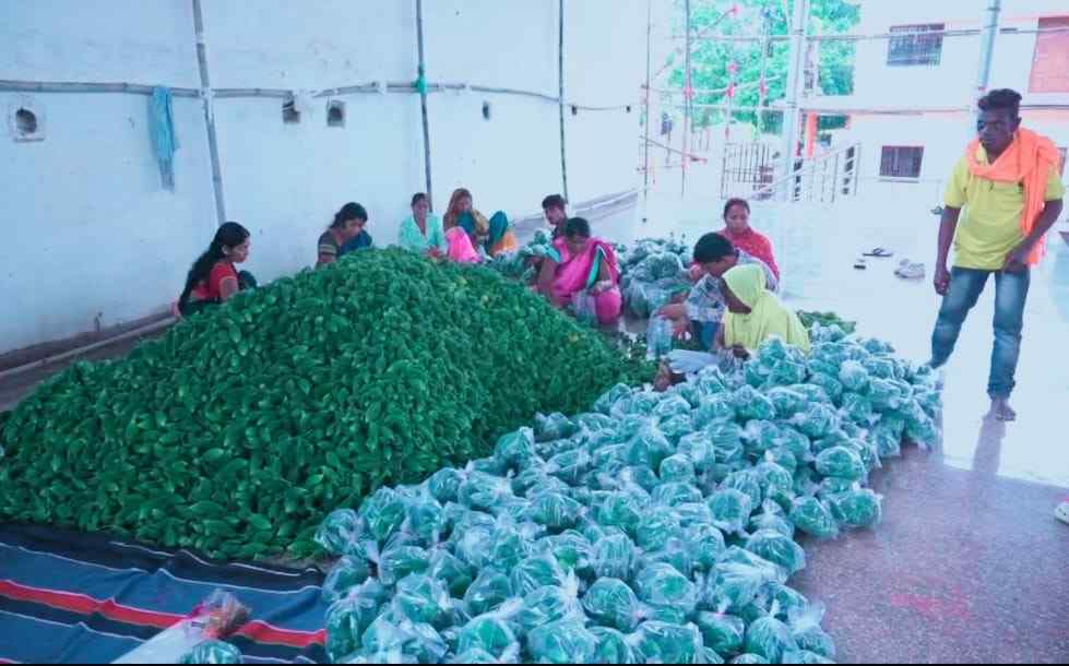 वैशाली नगर विधानसभा में तीज व्रत रखने वाली माताओं बहनों के लिए विधायक ने घर-घर भिजवाया करेला वैशाली नगर विधानसभा में तीज व्रत रखने वाली माताओं बहनों के लिए विधायक ने घर-घर भिजवाया करेला