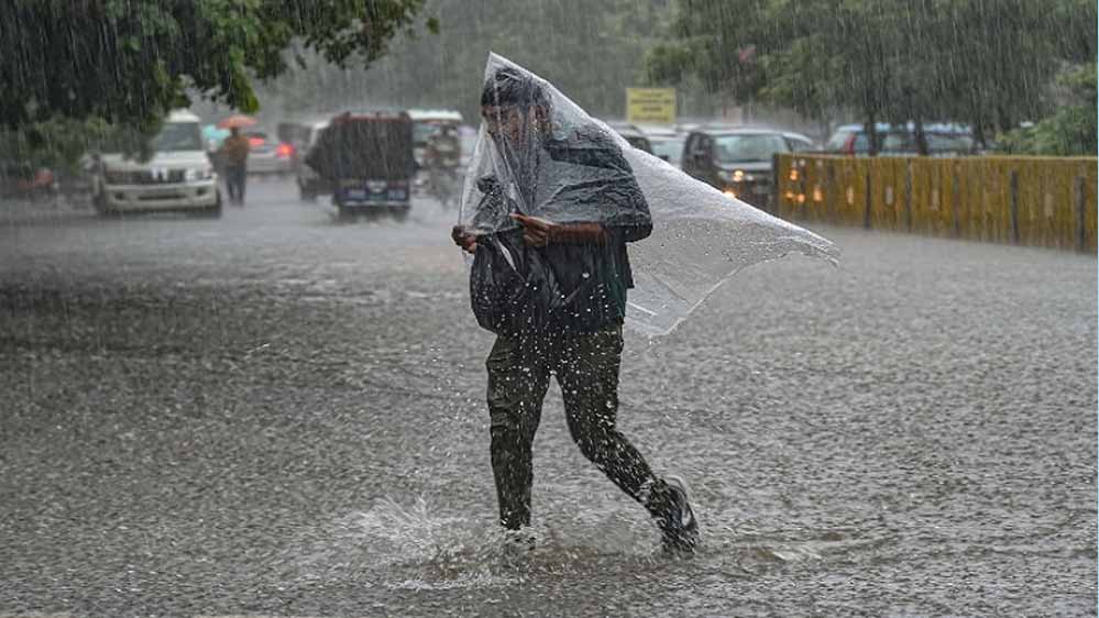 Indore News:झमाझम बारिश से मौसम सुहाना, अगले चार दिन भारी बारिश का अलर्ट Indore News:झमाझम बारिश से मौसम सुहाना, अगले चार दिन भारी बारिश का अलर्ट