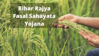 बिहार राज्य फसल सहायता योजना: 31 अक्टूबर तक करें आवेदन