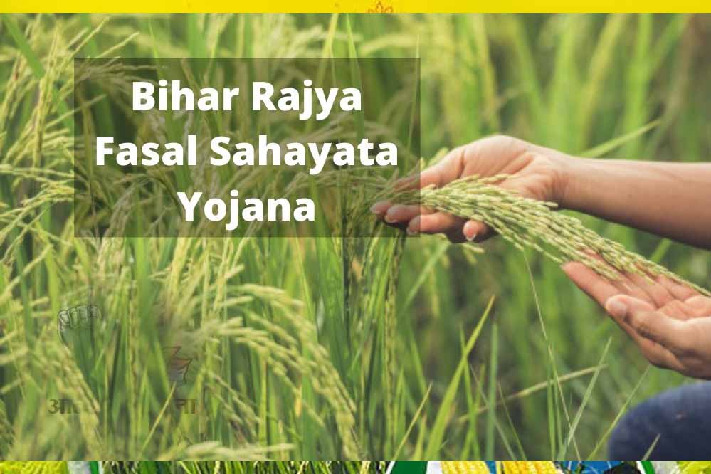बिहार राज्य फसल सहायता योजना: 31 अक्टूबर तक करें आवेदन
