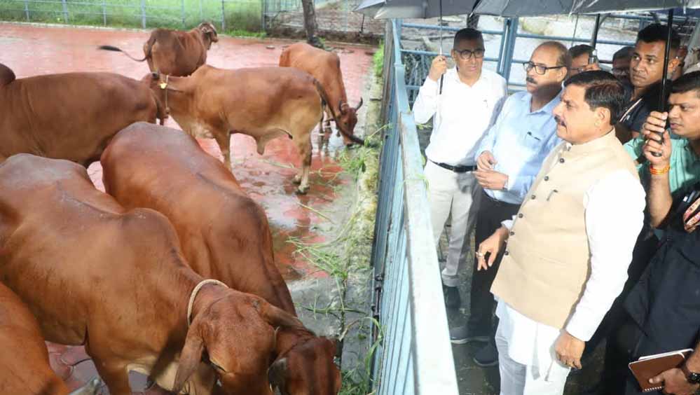 पशुपालन से किसानों की बढ़ेगी आय,बनेंगे आत्मनिर्भर:मुख्यमंत्री डॉ. मोहन यादव पशुपालन से किसानों की बढ़ेगी आय,बनेंगे आत्मनिर्भर:मुख्यमंत्री डॉ. मोहन यादव