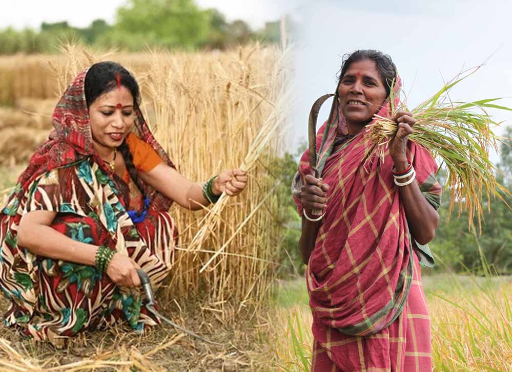 मध्य प्रदेश में समर्थन मूल्य पर अनाज खरीदी को आसान बनाने के लिए गोडाउन को मिले खरीदी केंद्रों की प्राथमिकता मध्य प्रदेश में समर्थन मूल्य पर अनाज खरीदी को आसान बनाने के लिए गोडाउन को मिले खरीदी केंद्रों की प्राथमिकता