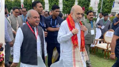 लोकतंत्र केवल शासन पद्धति नहीं, बल्कि जीवन की आत्मा है : तोमर
