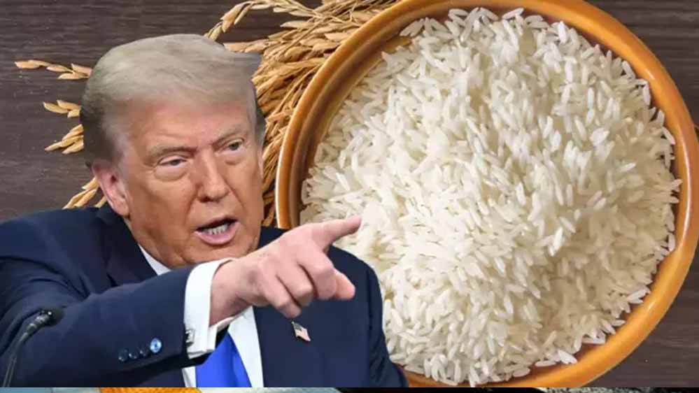 ₹48 लाख की चावल डील अटकी, एशियाई देश ने ट्रंप को दिया बड़ा झटका
