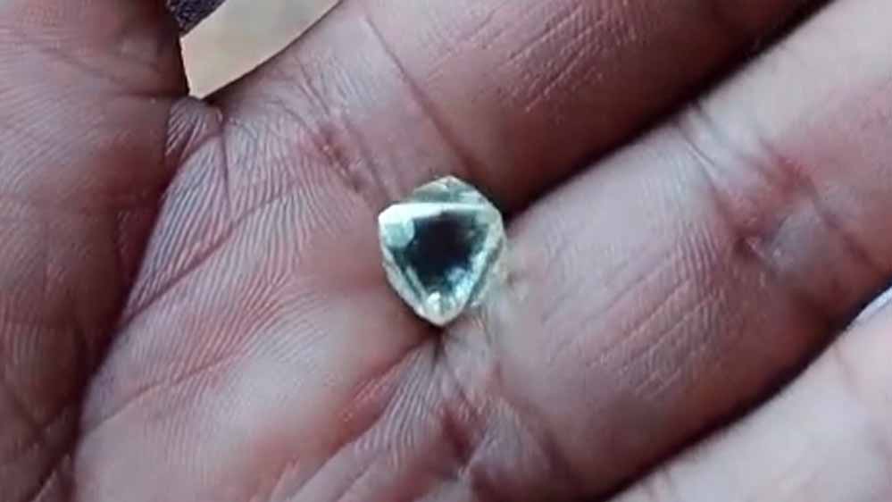 पन्ना में मिला 4.90 कैरेट का नायाब हीरा, कीमत 10 लाख और नीलामी में लगेगी बोली पन्ना में मिला 4.90 कैरेट का नायाब हीरा, कीमत 10 लाख और नीलामी में लगेगी बोली