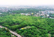 इंदौर में हरियाली का बड़ा प्लान: 50 करोड़ से बनेंगे नए गार्डन