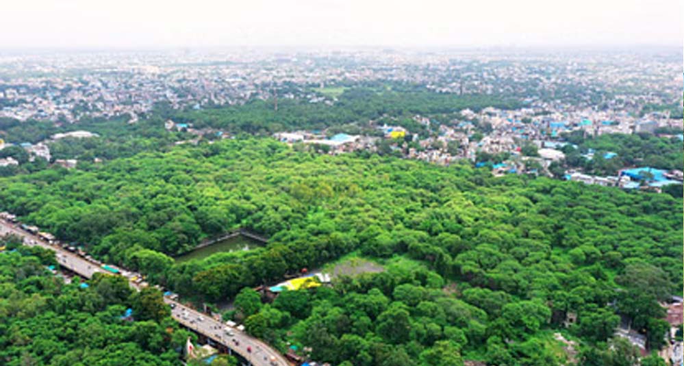 इंदौर में हरियाली का बड़ा प्लान: 50 करोड़ से बनेंगे नए गार्डन इंदौर में हरियाली का बड़ा प्लान: 50 करोड़ से बनेंगे नए गार्डन