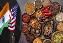 US में भारतीय सामानों पर टैरिफ का असर: दाल से सांभर तक की कीमतों पर नजर
