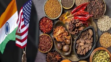 US में भारतीय सामानों पर टैरिफ का असर: दाल से सांभर तक की कीमतों पर नजर
