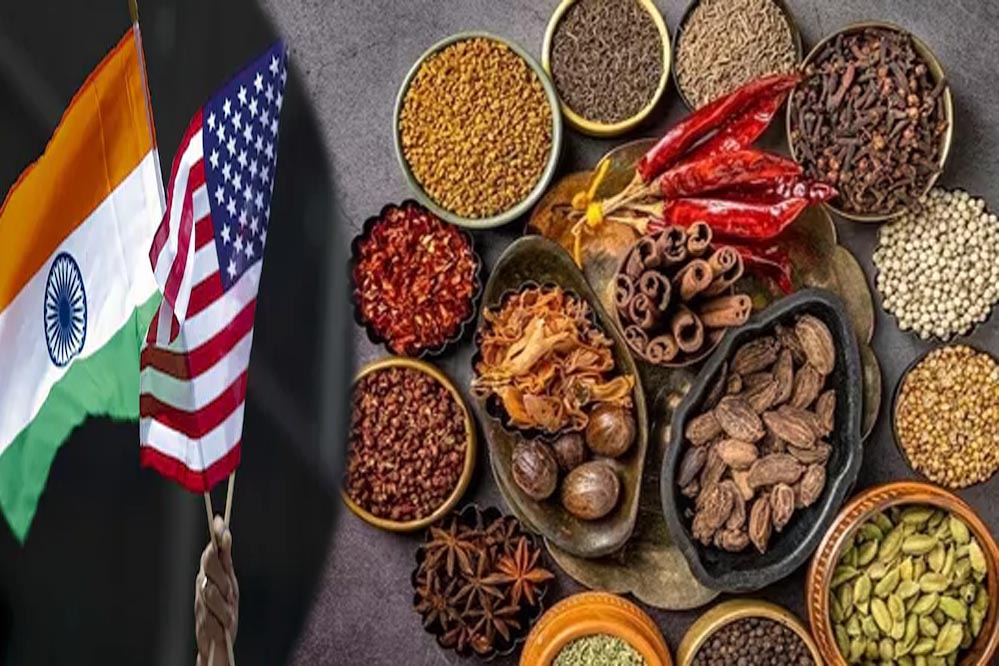 US में भारतीय सामानों पर टैरिफ का असर: दाल से सांभर तक की कीमतों पर नजर US में भारतीय सामानों पर टैरिफ का असर: दाल से सांभर तक की कीमतों पर नजर