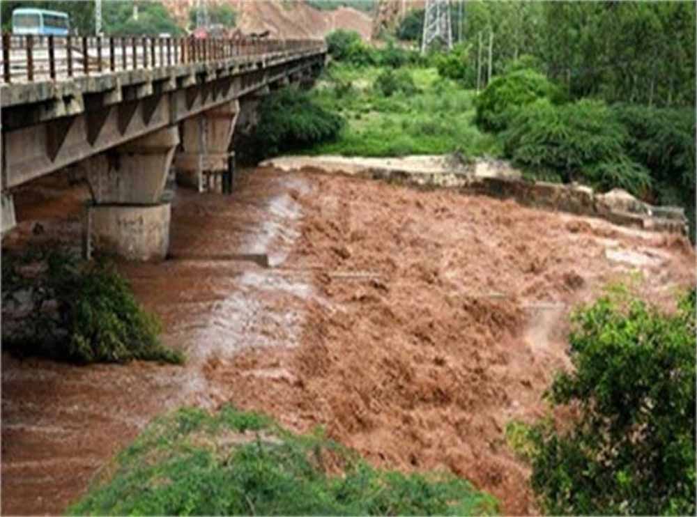 पटियाला में खतरे का सायरन! प्रशासन ने जारी किया अलर्ट पटियाला में खतरे का सायरन! प्रशासन ने जारी किया अलर्ट
