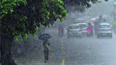5 जिलों में भारी बारिश के कारण स्कूल 2 दिन बंद, IMD ने जारी किया रेड अलर्ट