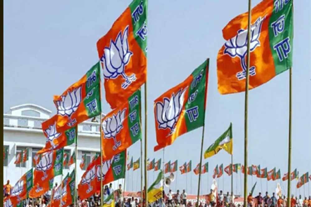 एमपी में भगवा दल की वापसी, दो नगर परिषदों के अध्यक्ष बने बीजेपी के
