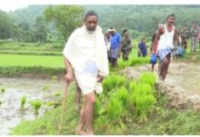 CM हेमंत ने खेतों में किसानों से की बातचीत, सरकार का किसानों को सशक्त बनाने का वादा