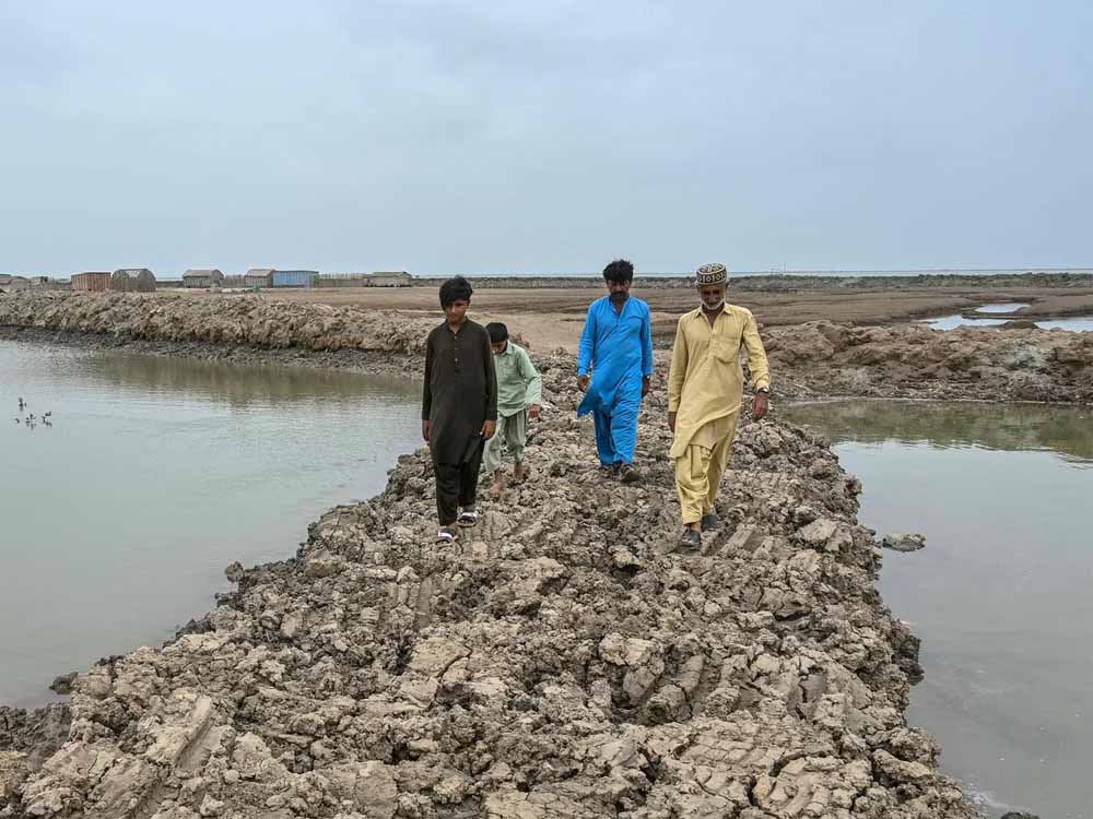 सिंधु डेल्टा का जल संकट: 80% पानी गायब, 12 लाख लोग बेघर, पाकिस्तान पर नई आपदा की दस्तक सिंधु डेल्टा का जल संकट: 80% पानी गायब, 12 लाख लोग बेघर, पाकिस्तान पर नई आपदा की दस्तक