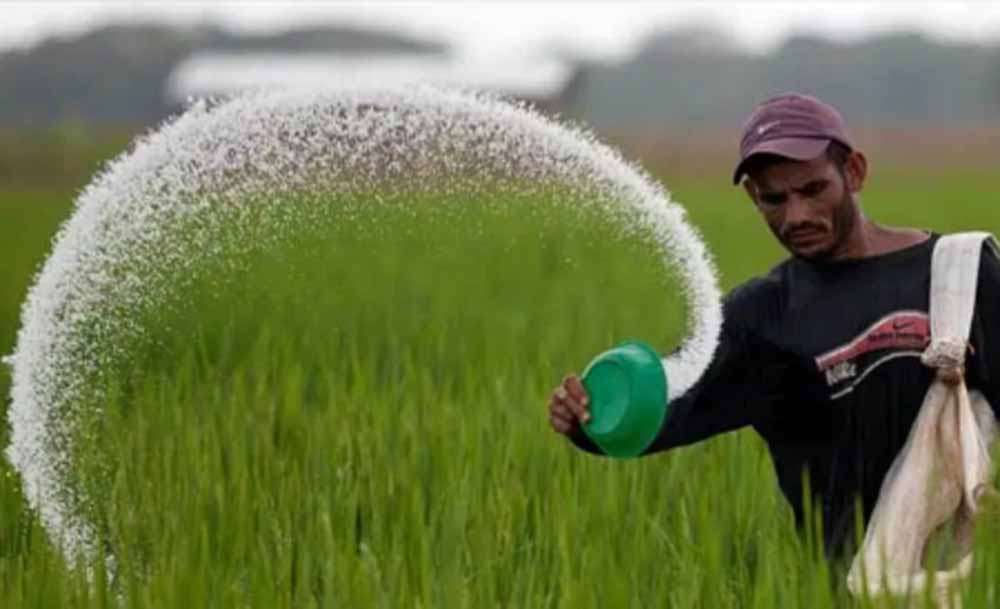 एमपी के किसानों के लिए बड़ी राहत, जल्द मिलेगा 5.60 लाख मीट्रिक टन यूरिया: CM का ऐलान एमपी के किसानों के लिए बड़ी राहत, जल्द मिलेगा 5.60 लाख मीट्रिक टन यूरिया: CM का ऐलान