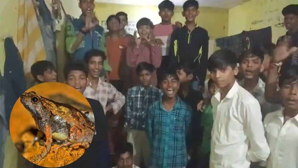 एमपी के आदिवासी हॉस्टल में लापरवाही! खाने की सब्जी में निकला मरा मेंढक