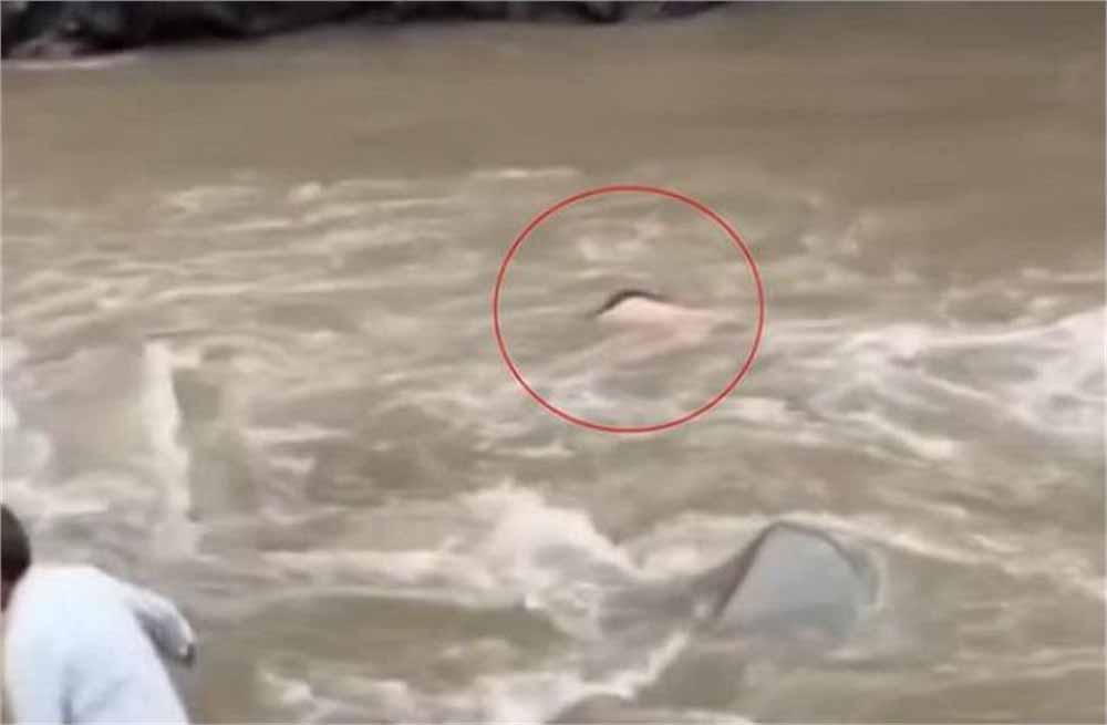 संसार के दुखों का सामना: लकड़ी के पुल से गिरकर खड्ड में बहा व्यक्ति, पहले बाढ़ में खोया था छोटा भाई