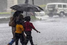 रायपुर : प्रदेश में अब तक 655.6 मि.मी. औसत वर्षा दर्ज