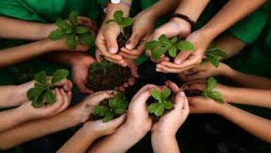 अमृत हरित महाअभियान: नगरीय क्षेत्रों में रोपे गये 23 लाख पौधे