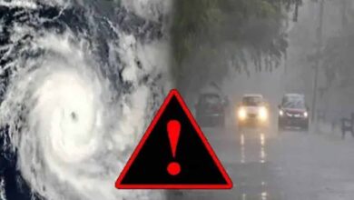 अगले 14 घंटों में बारिश का रौद्र रूप, 29 जिलों में IMD ने जारी किया अलर्ट अगले 14 घंटों में बारिश का रौद्र रूप, 29 जिलों में IMD ने जारी किया अलर्ट