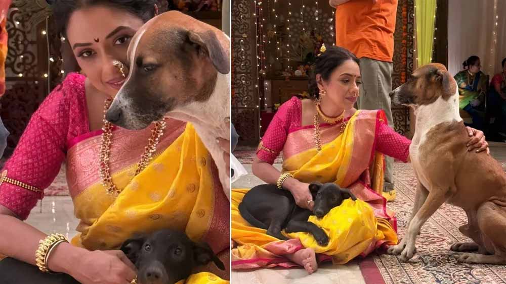 रुपाली गांगुली ने मां कूष्मांडा को याद कर बेजुबानों के लिए की प्रार्थना रुपाली गांगुली ने मां कूष्मांडा को याद कर बेजुबानों के लिए की प्रार्थना