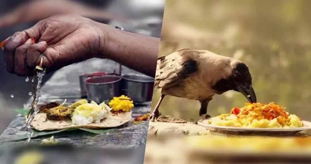 पितृपक्ष में खरीददारी से बचें! अगर जरूरी हो तो अपनाएँ ये आसान उपाय पितृपक्ष में खरीददारी से बचें! अगर जरूरी हो तो अपनाएँ ये आसान उपाय