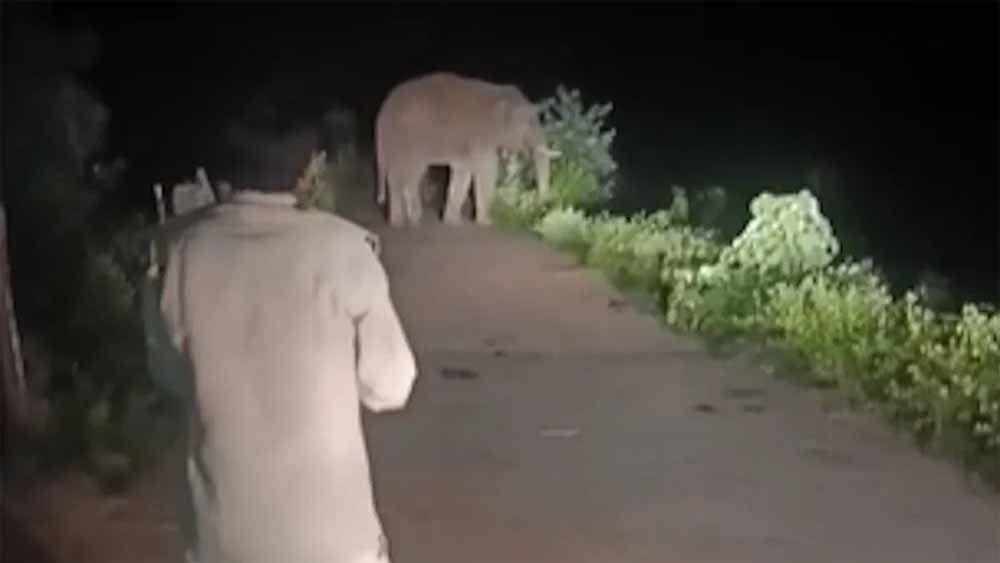 दंतैल का आतंक: बस्ती में घुसकर मकान-दुकान तोड़े, ग्रामीणों में दहशत