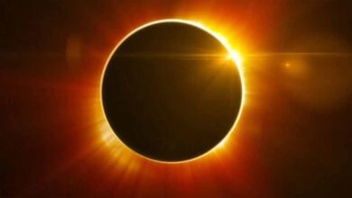 सूर्य ग्रहण 2025: इस दिन इन खास चीजों के दान से मिलते हैं शुभ फल, जानें धार्मिक कारण सूर्य ग्रहण 2025: इस दिन इन खास चीजों के दान से मिलते हैं शुभ फल, जानें धार्मिक कारण