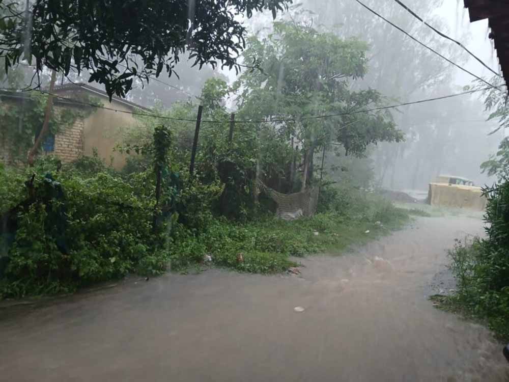 झारखंड के दुमका में सबसे अधिक 152 मिलीमीटर बारिश दर्ज