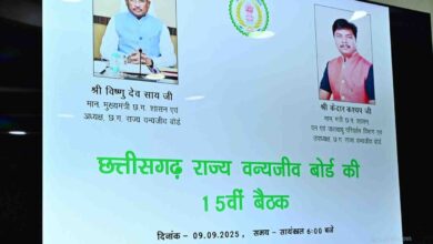 छत्तीसगढ़ में वन्य प्राणियों का संरक्षण और संवर्धन हमारी प्राथमिकता – मुख्यमंत्री विष्णु देव साय