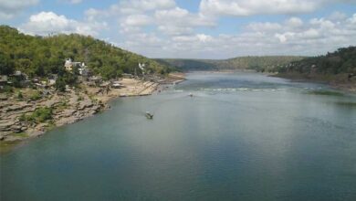 नर्मदा जल संरक्षण के लिए MP सरकार की पहल, नदी के दोनों ओर 5-5 किमी तक प्राकृतिक खेती को मिलेगा बढ़ावा